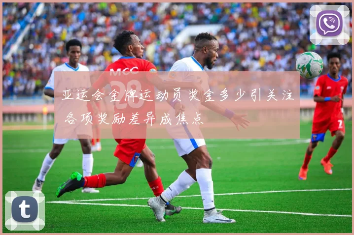 亚运会金牌运动员奖金多少引关注 各项奖励差异成焦点