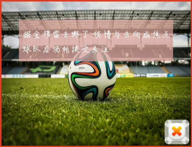 掘金穆雷去哪了 伤情与去向成焦点球队后场轮换受关注