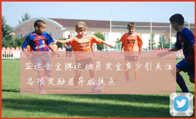 亚运会金牌运动员奖金多少引关注 各项奖励差异成焦点