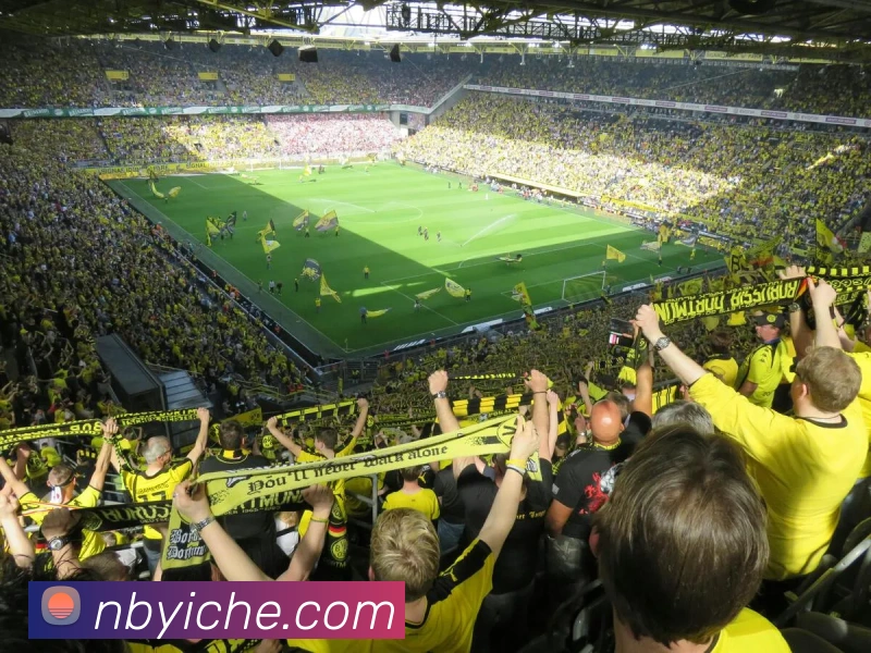 leyu乐鱼在线体育品牌故事